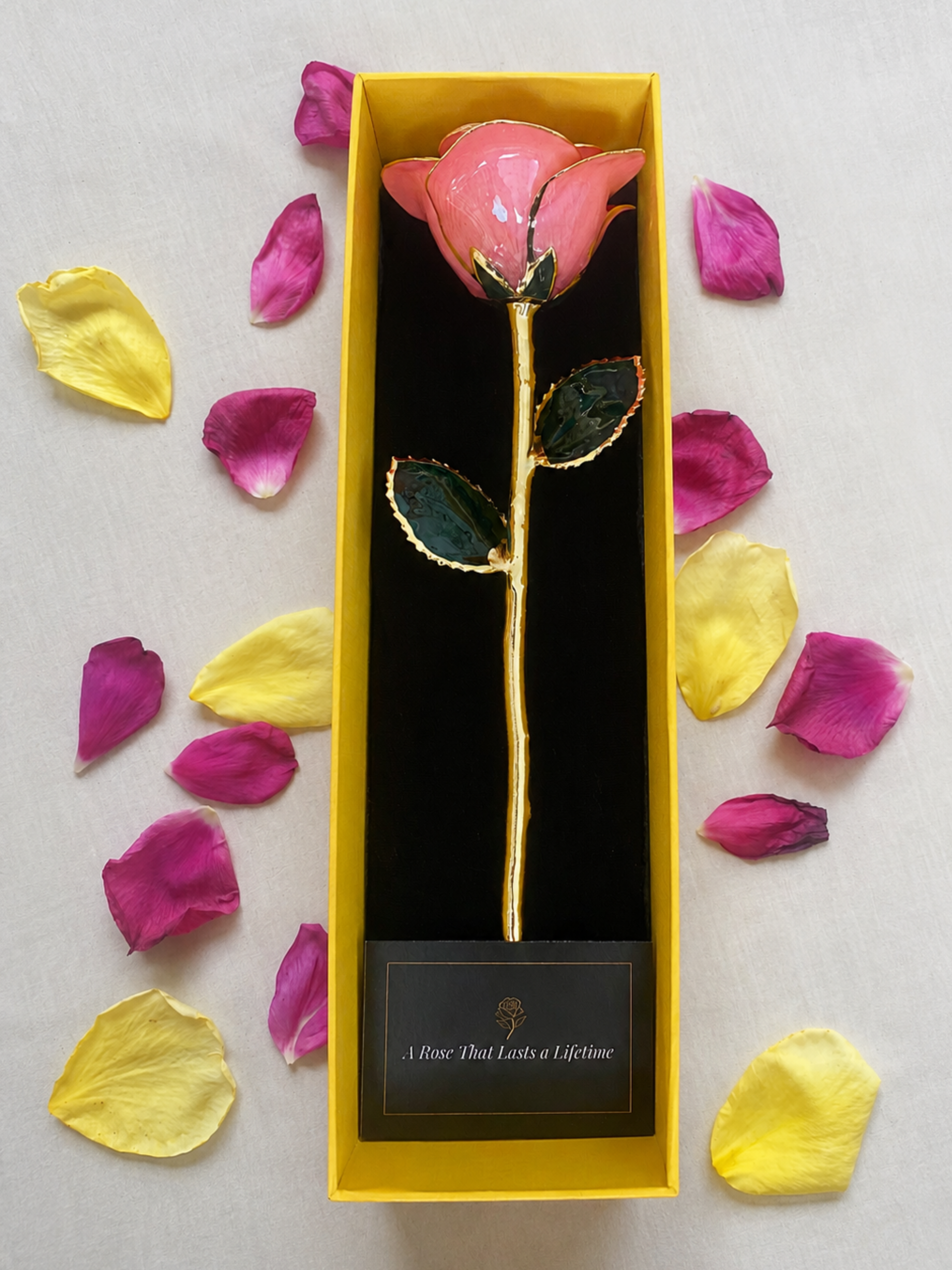Luxury Coral Rose