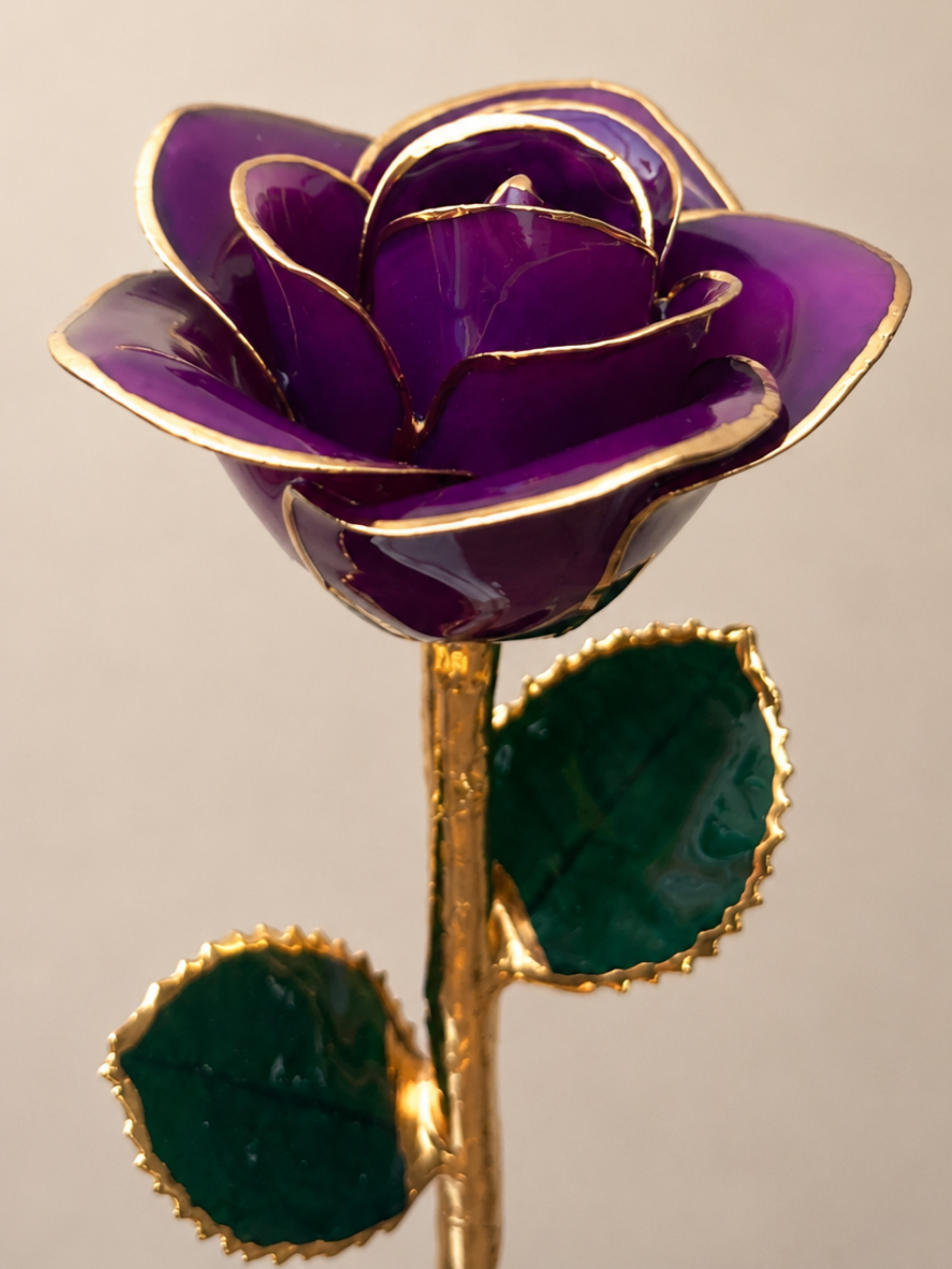 Luxury Purple Rose