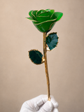 Luxury Emerald Green Rose