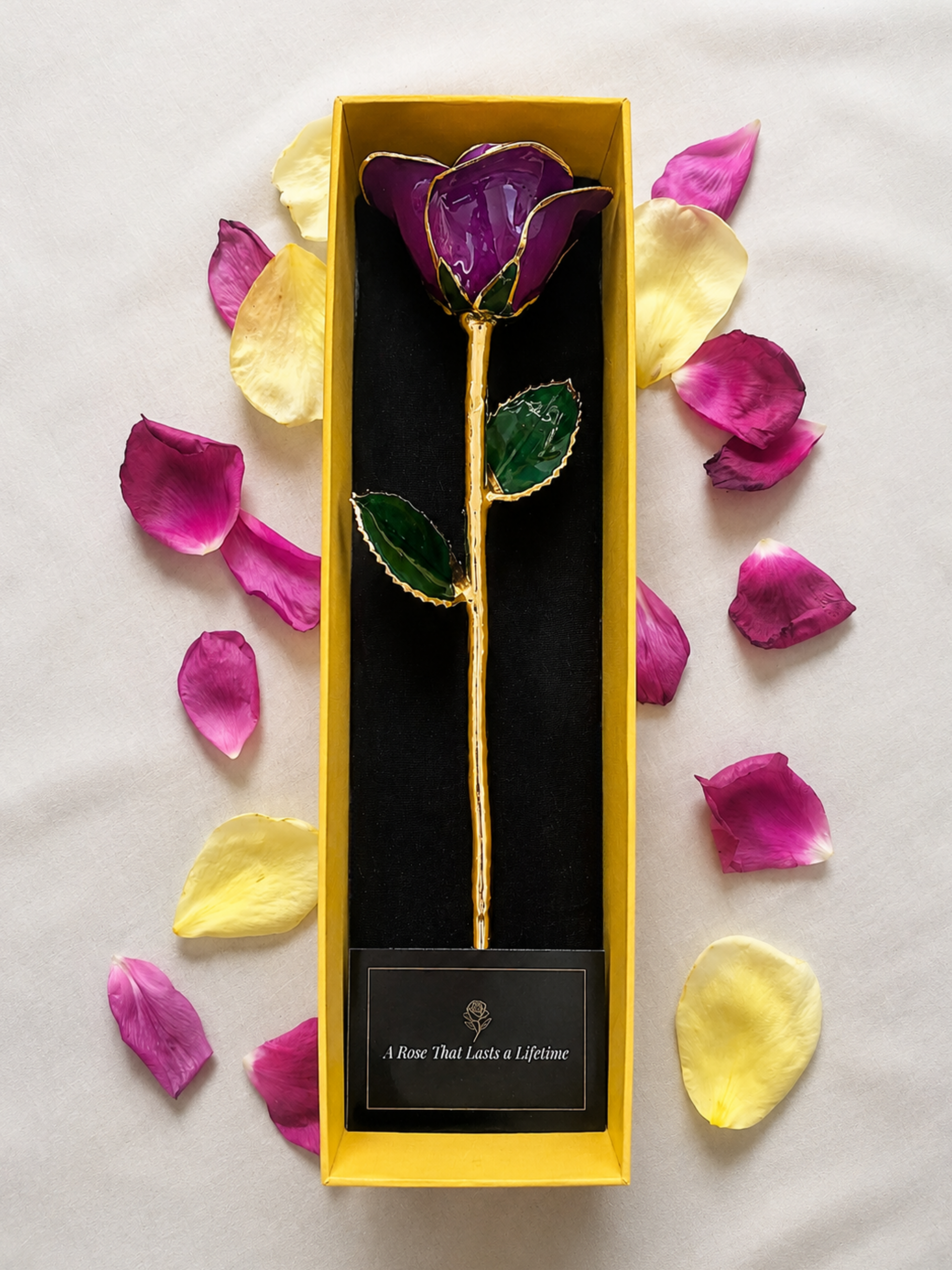 Luxury Purple Rose