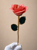 Luxury Coral Rose