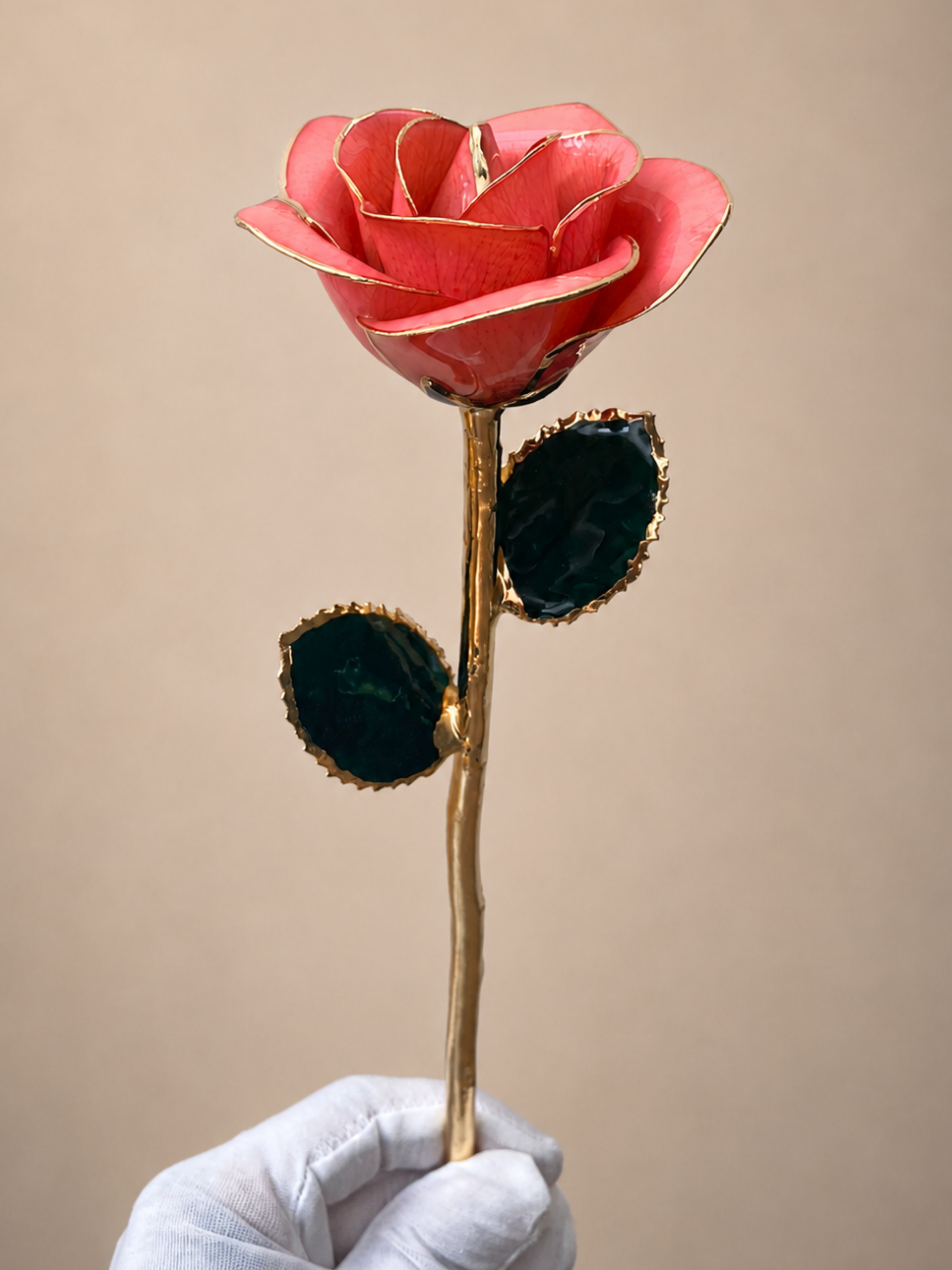 Luxury Coral Rose