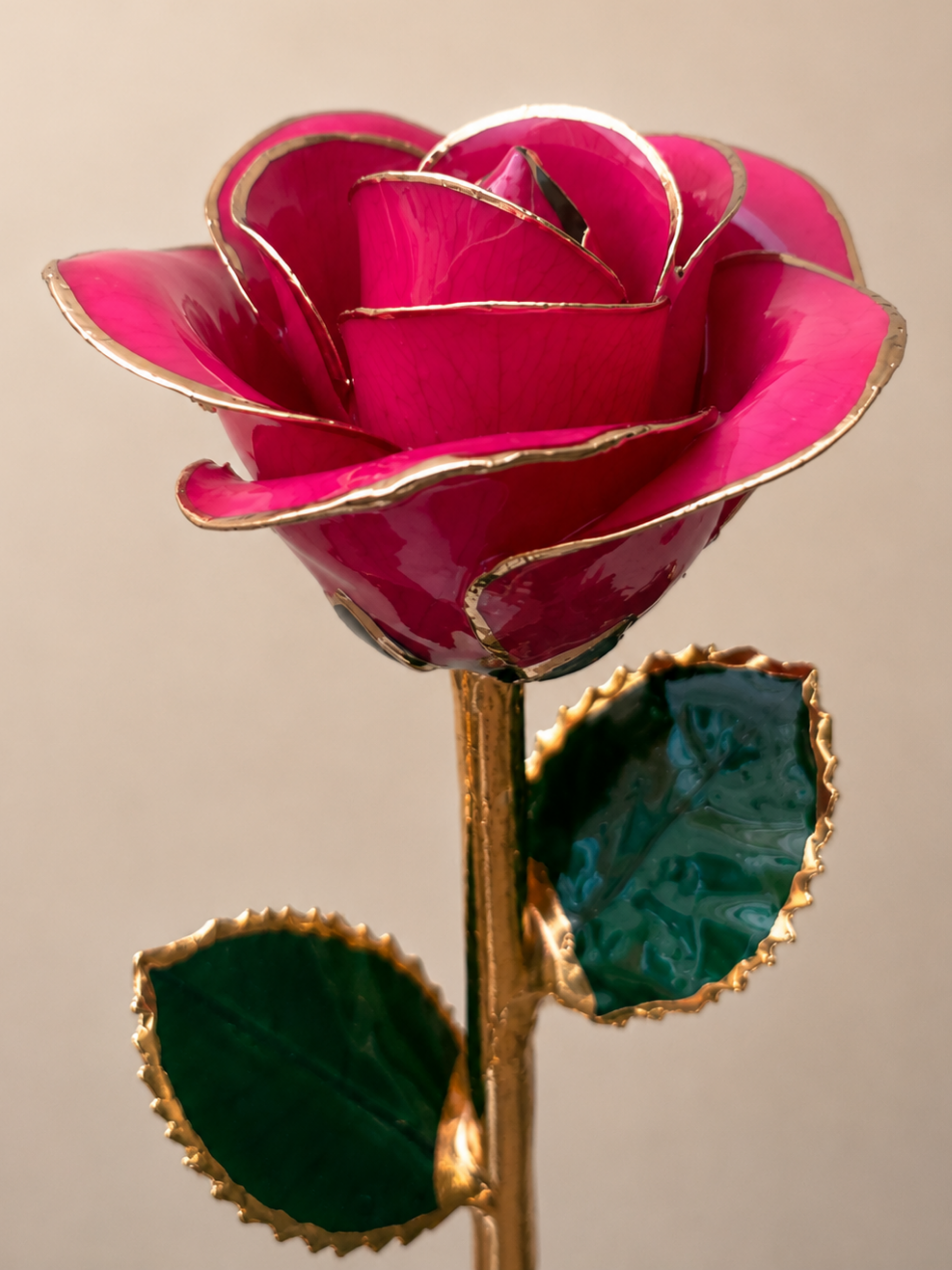 Luxury Pink Rose