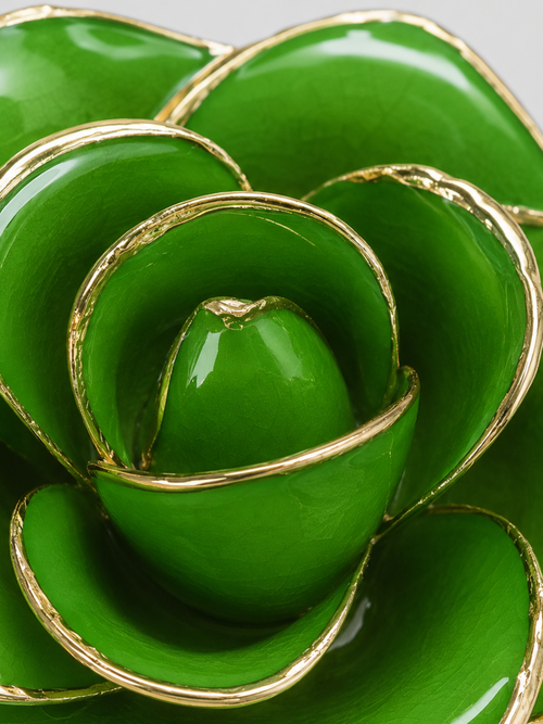 Luxury Emerald Green Rose