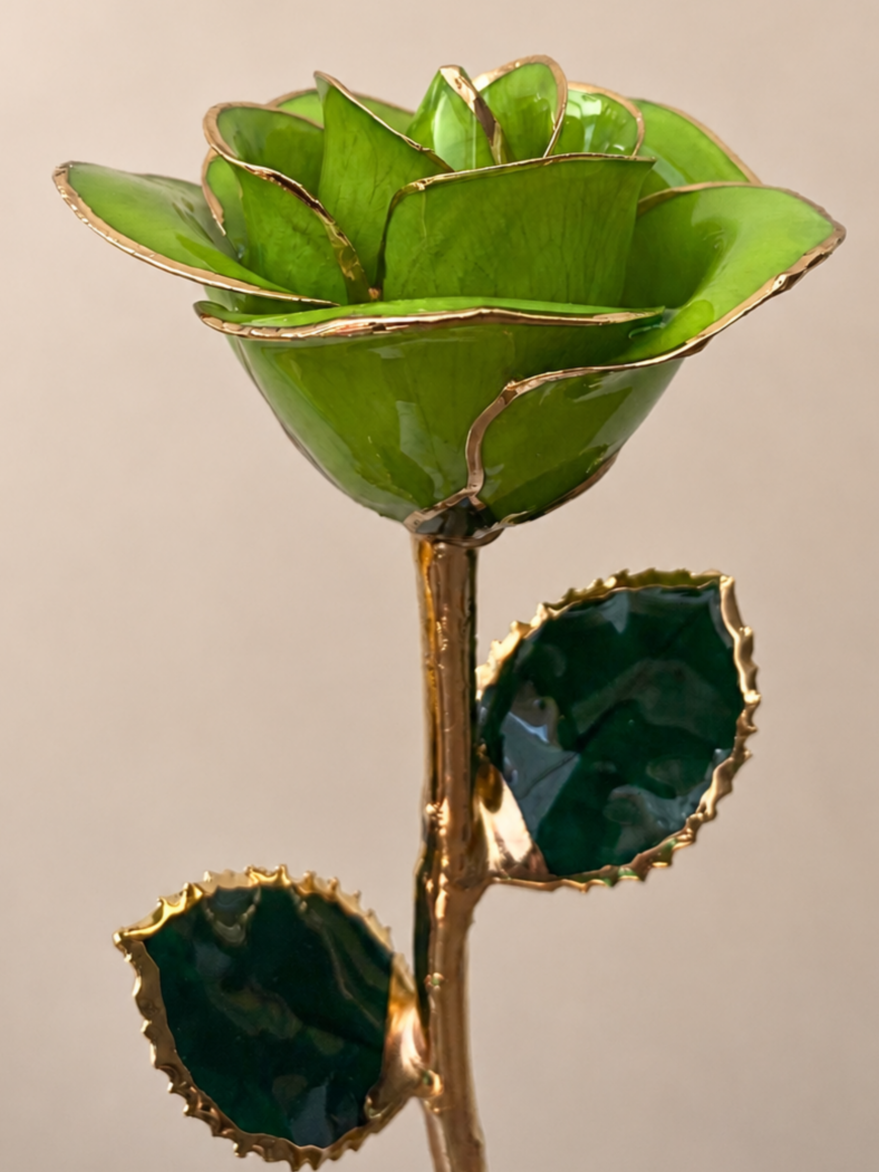 Luxury Lime Green Rose