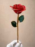 Luxury Red Rose