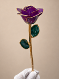 Luxury Purple Rose