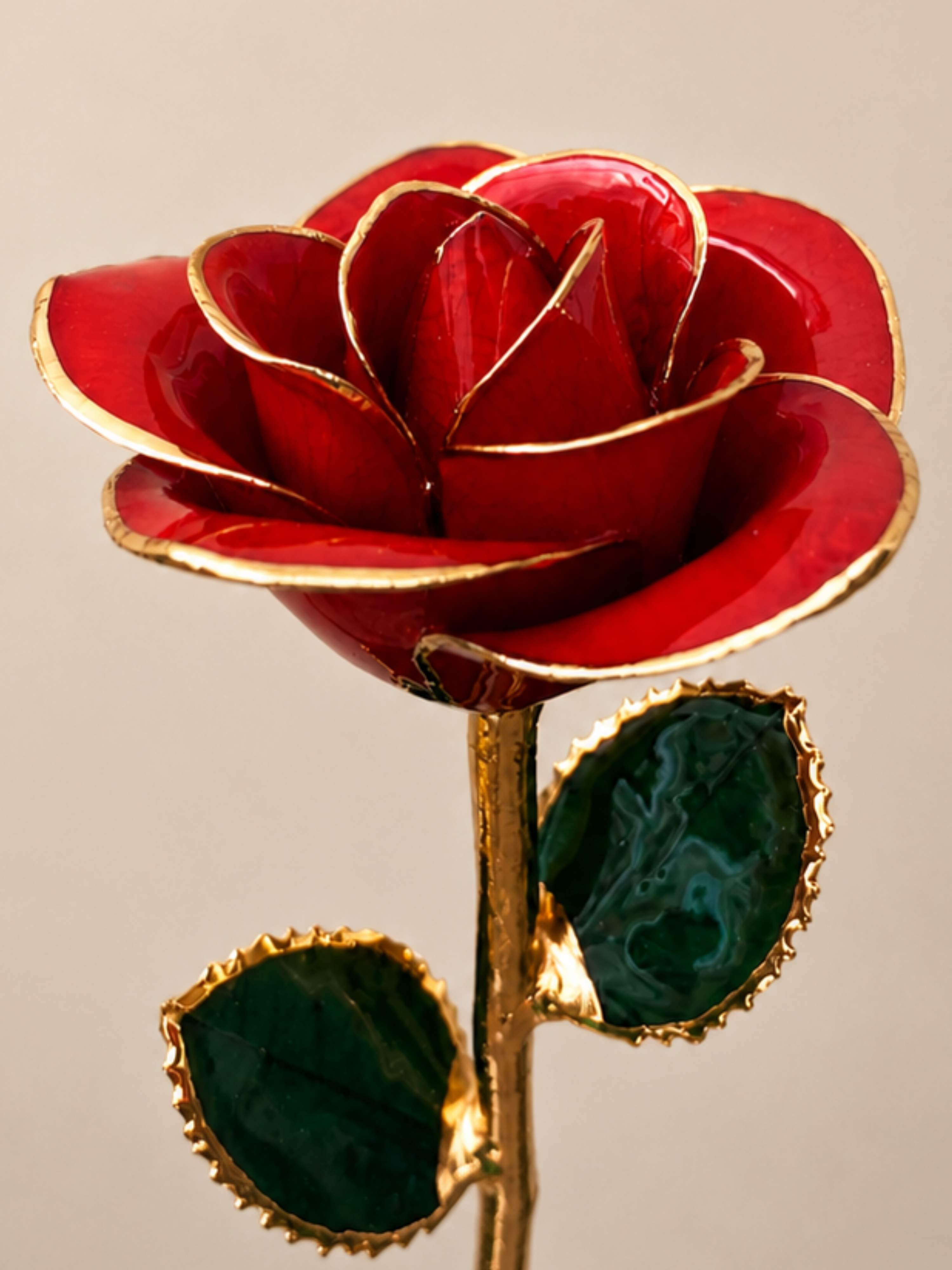 Luxury Red Rose