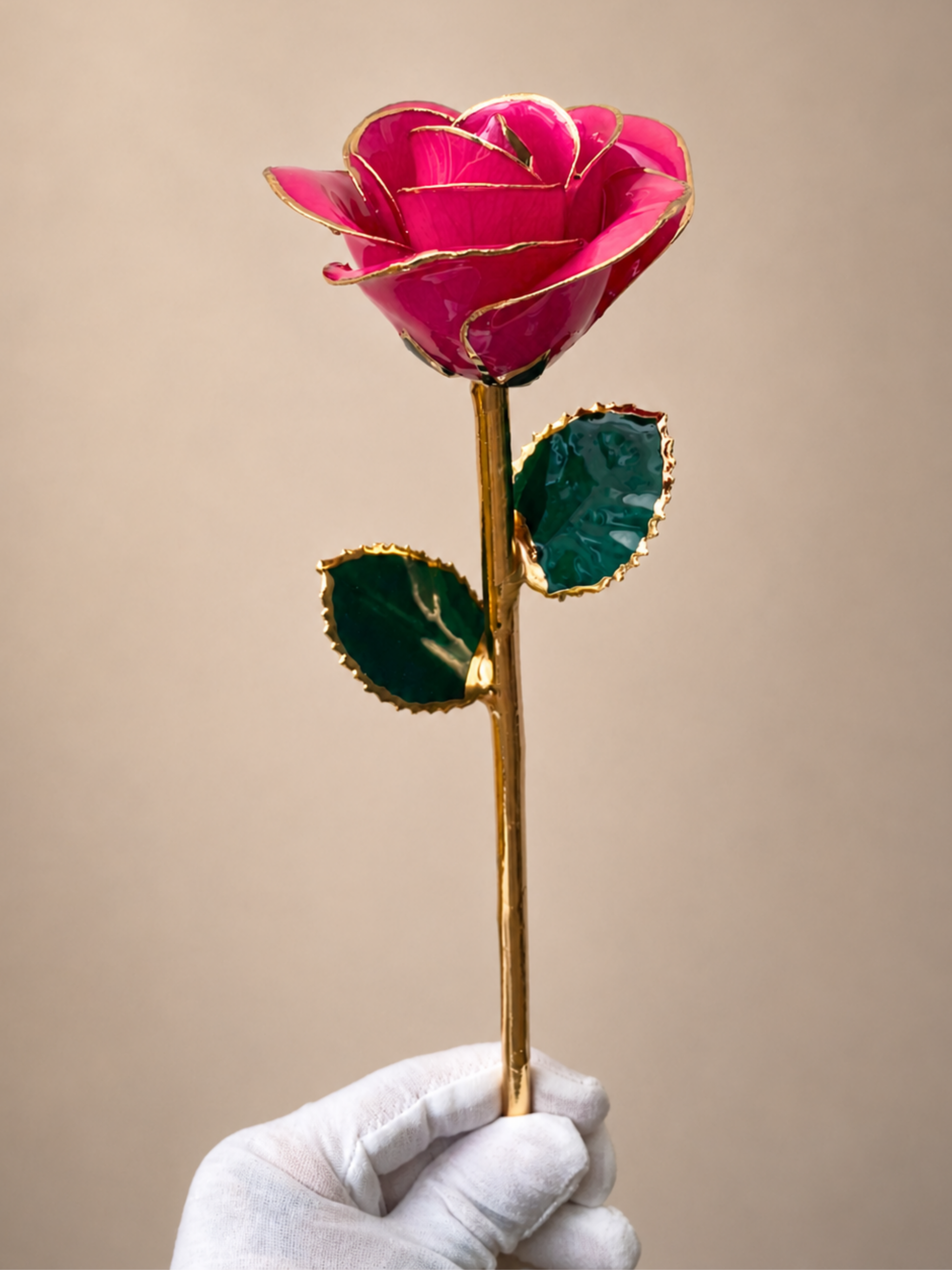 Luxury Pink Rose