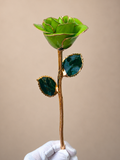 Luxury Lime Green Rose
