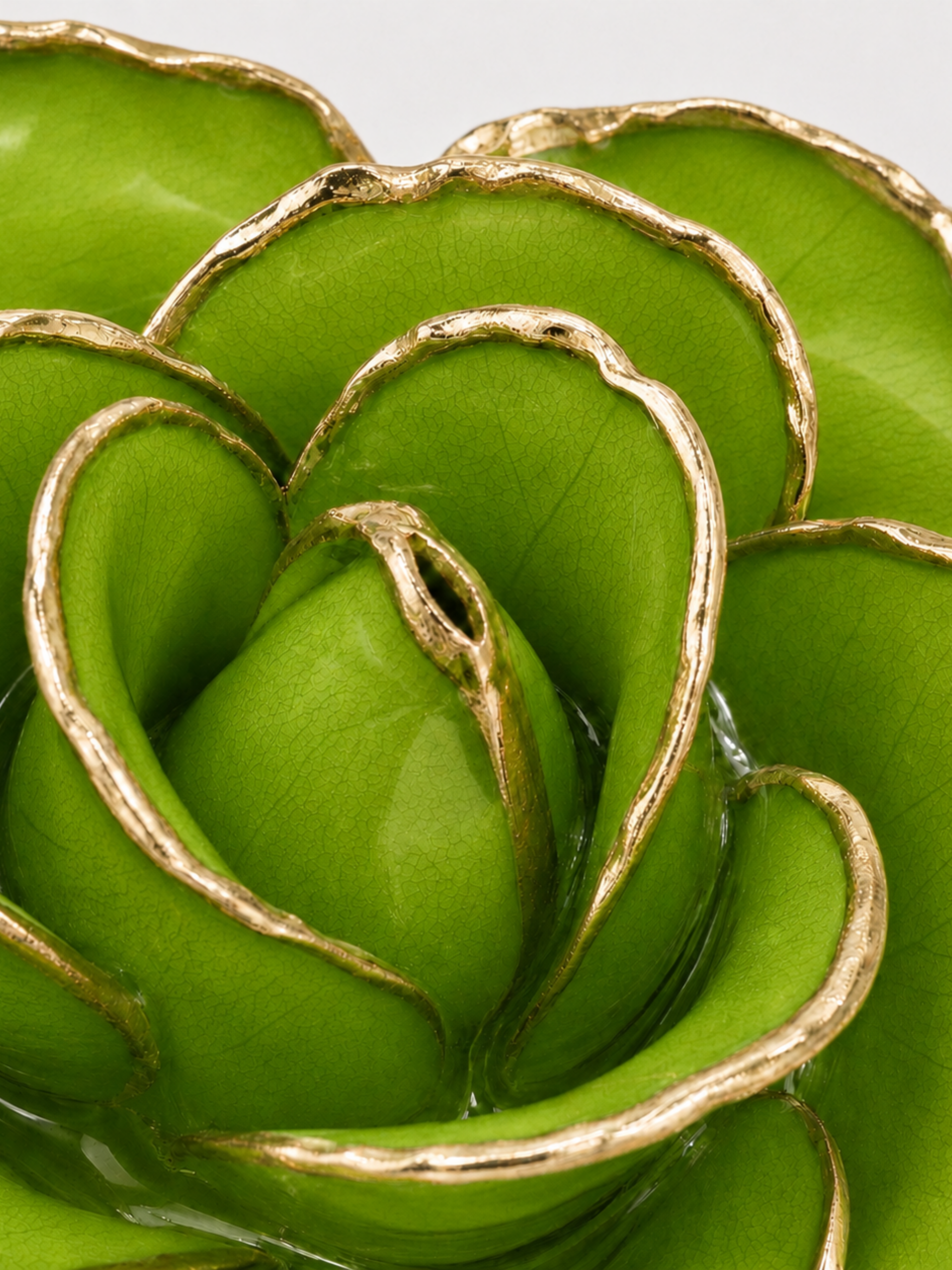 Luxury Lime Green Rose